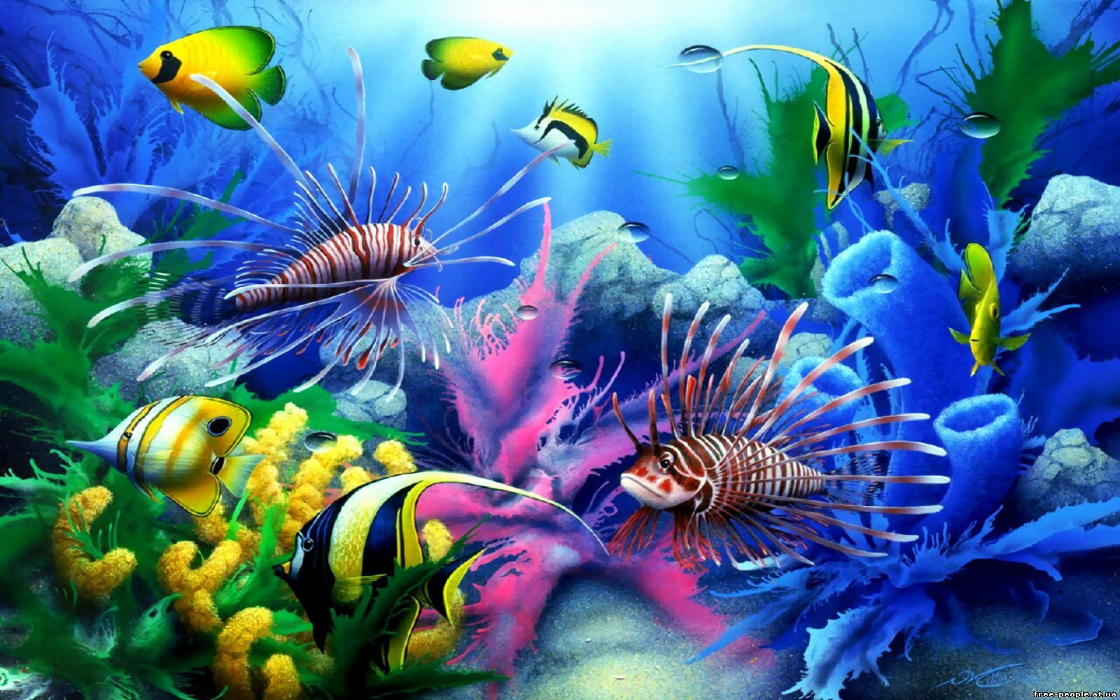 coral reef art 4k wallpaper