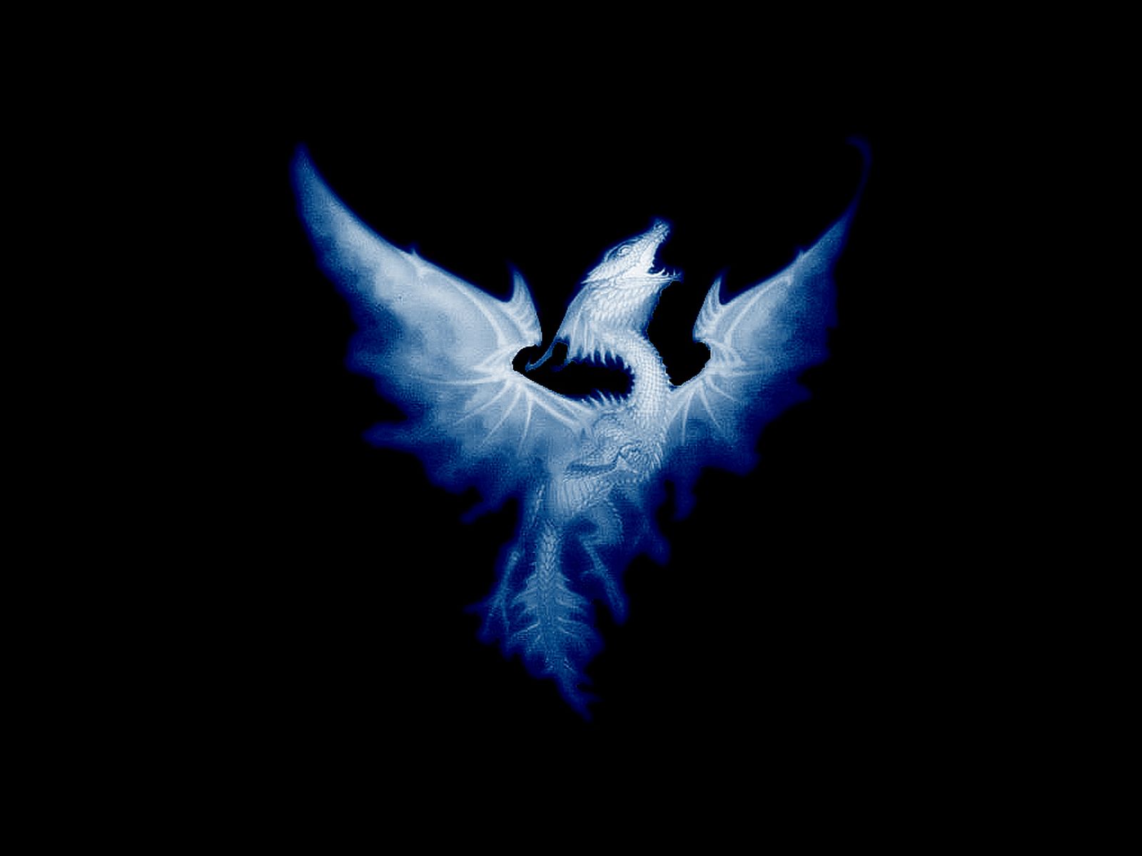 Blue Profile Wallpapers Wallpaper Cave