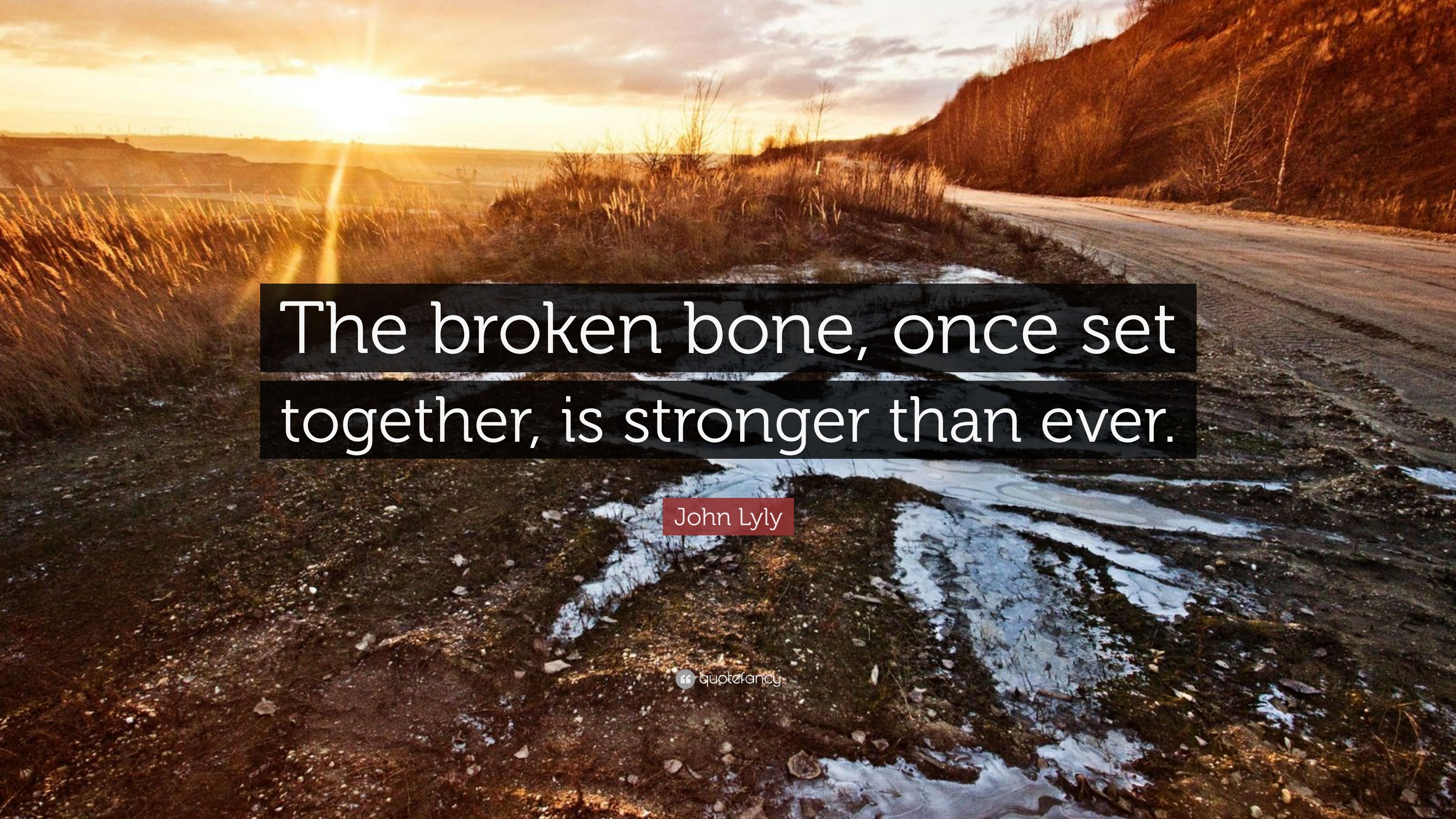 John Lyly Quote: “The broken bone, once set together, is stronger than ever.”