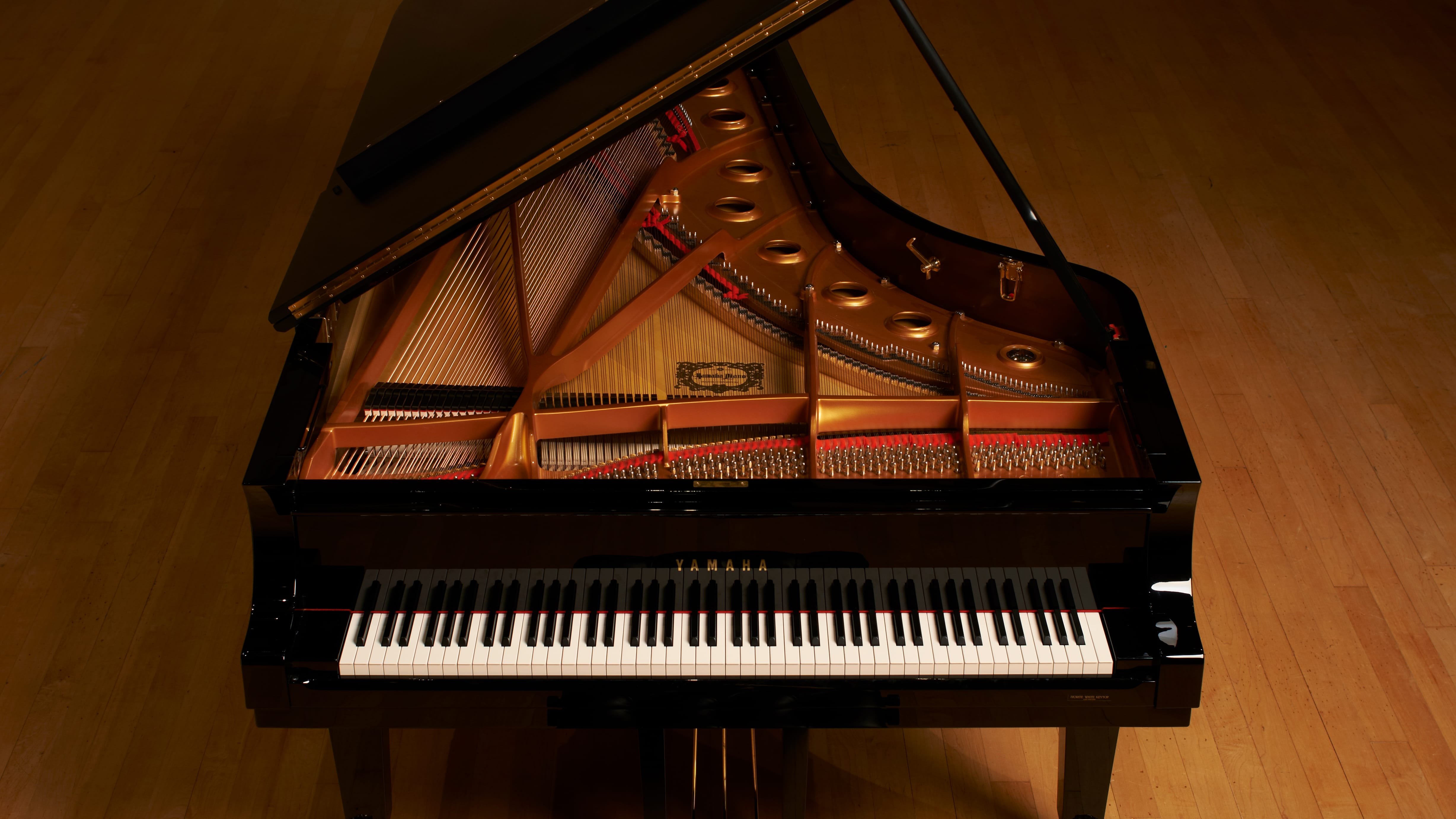 Pianos Instruments