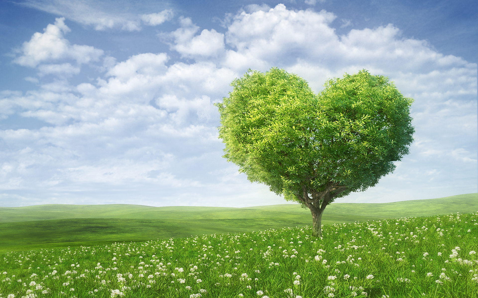 Summer heart tree