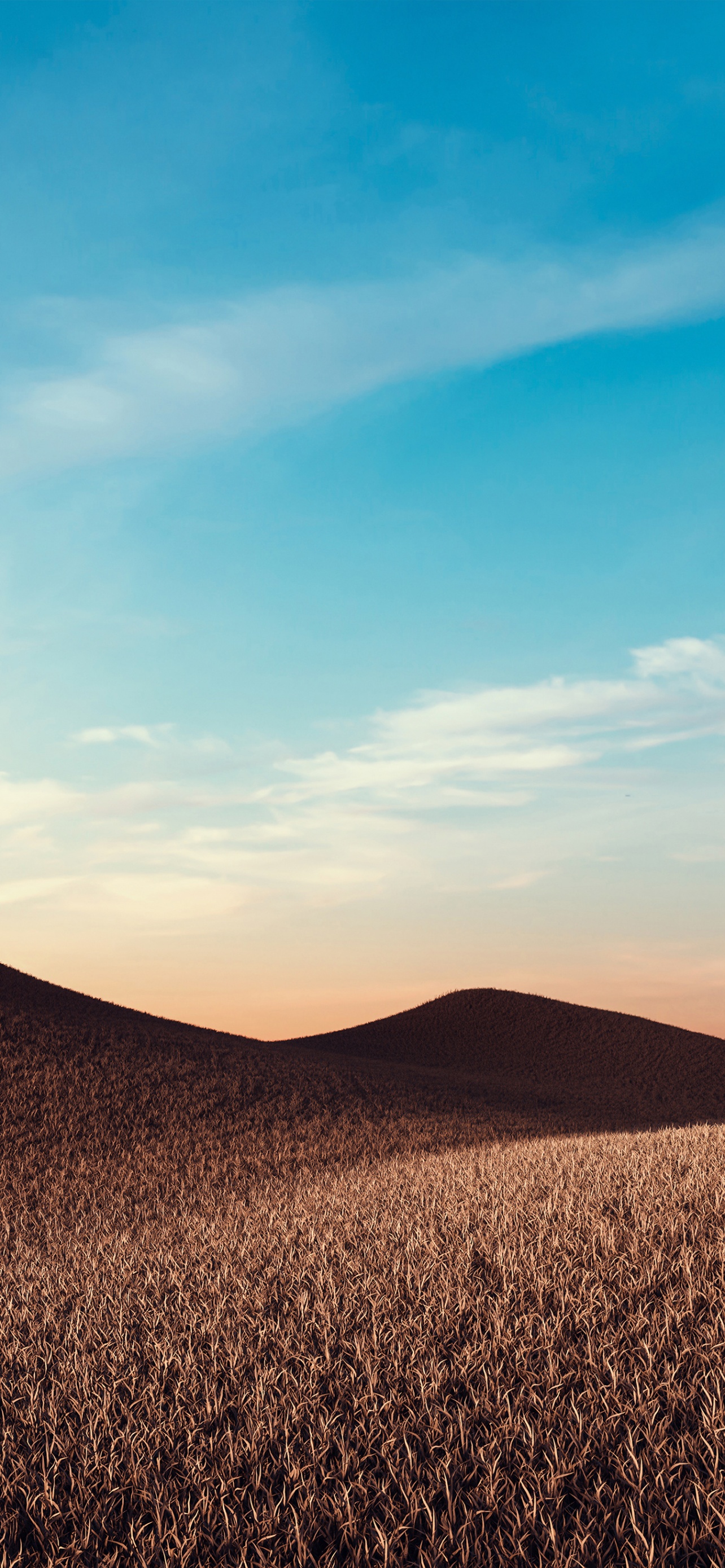 Dry fields Wallpaper 4K, Sunny day, Summer