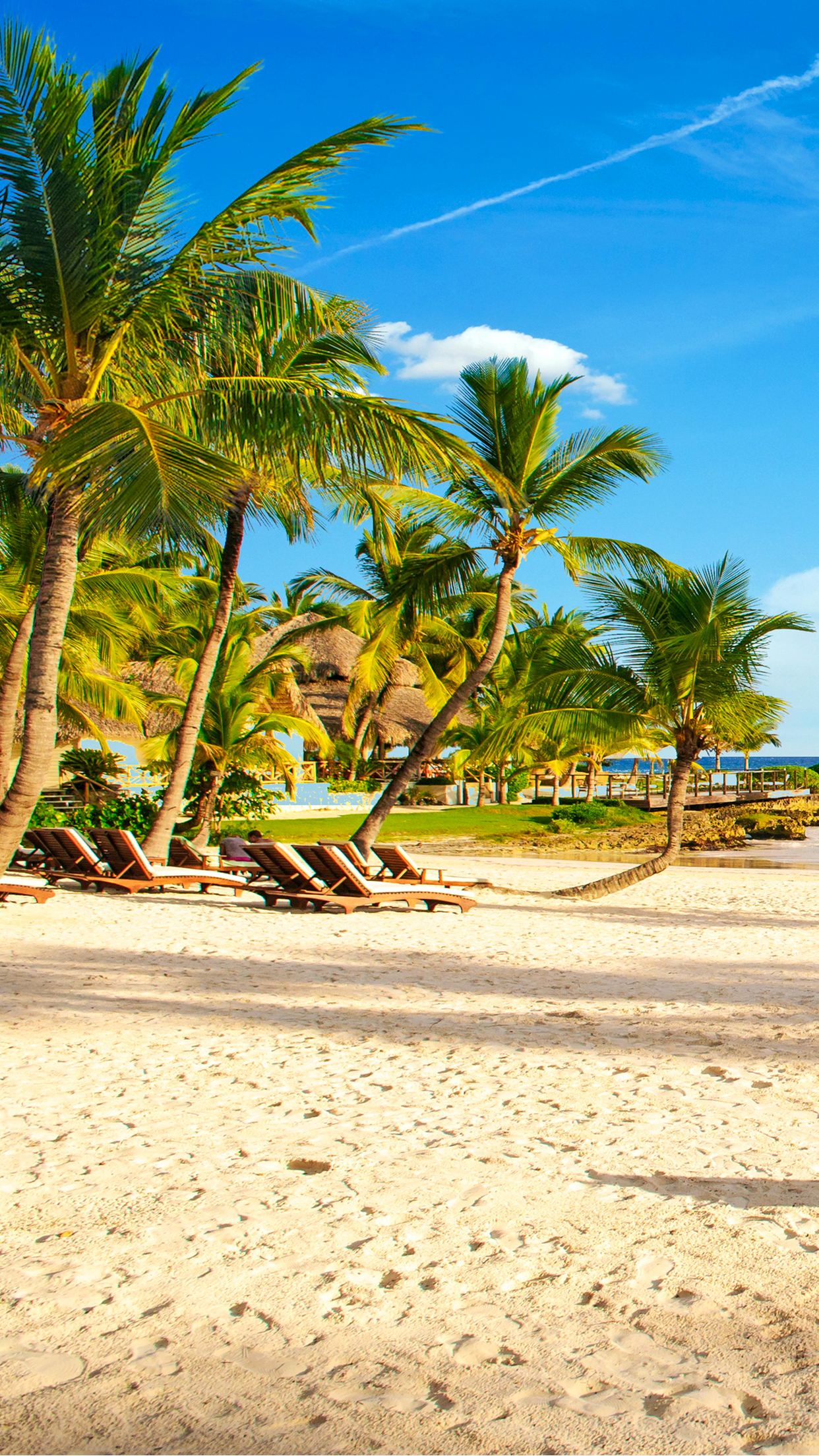 Summer Beach iPhone Wallpaper