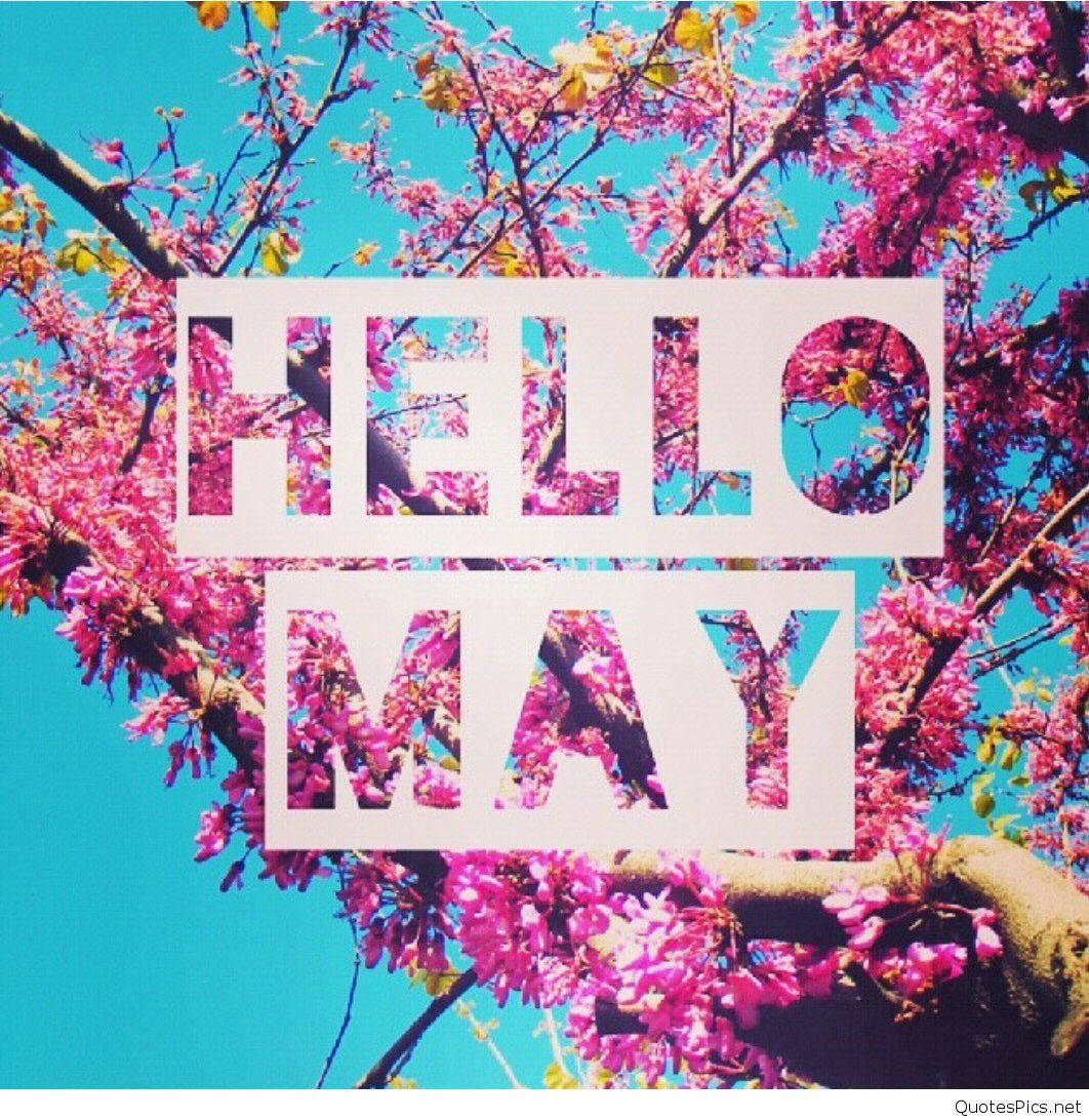 Download Hello May Cherry Blossom Wallpaper