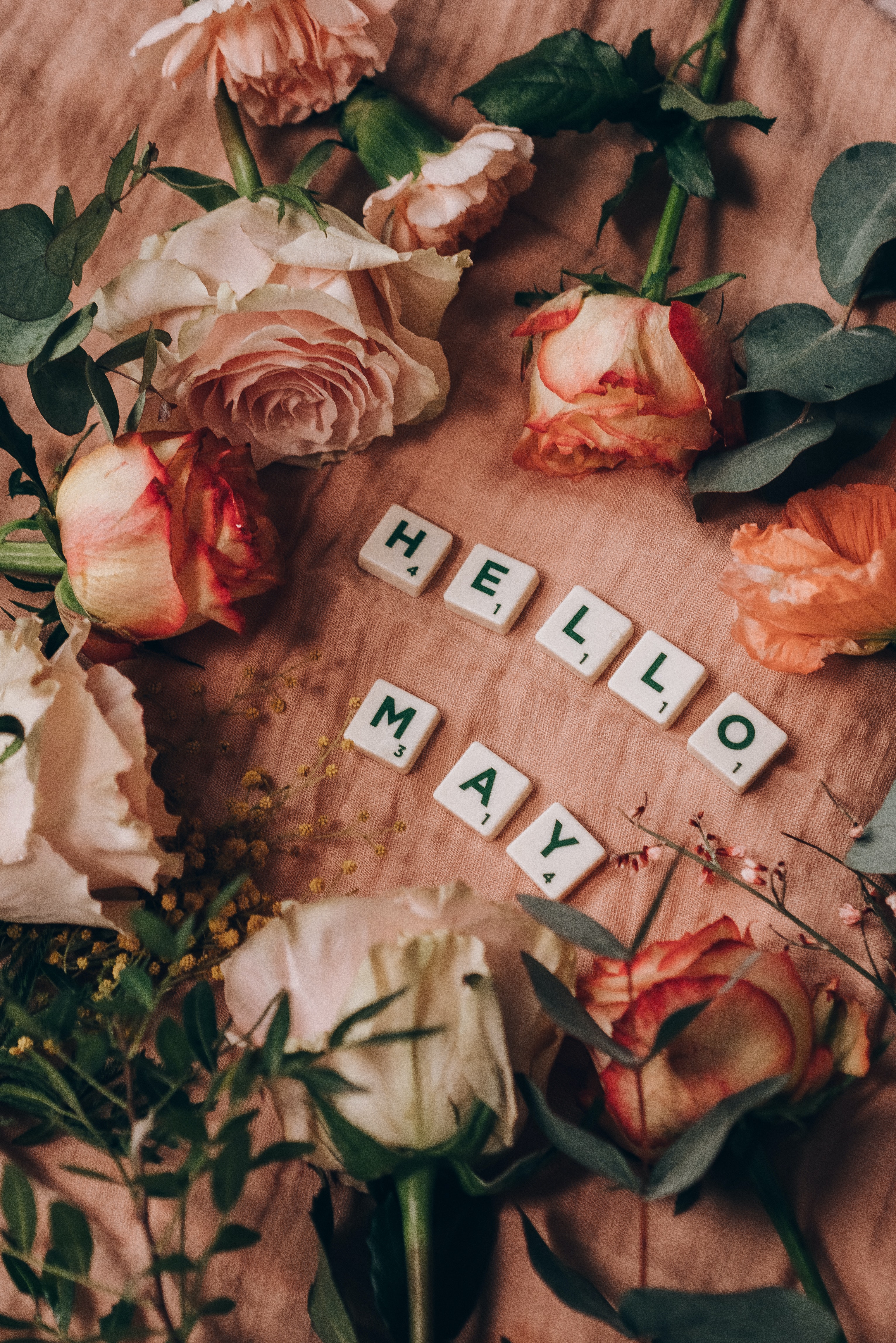 Hello May Photo, Download The BEST Free Hello May & HD Image