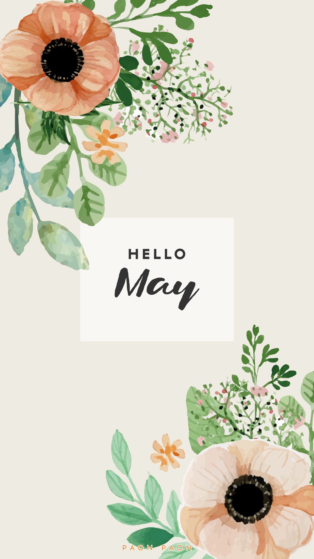 Pink Butterfly Hello May Template | PosterMyWall