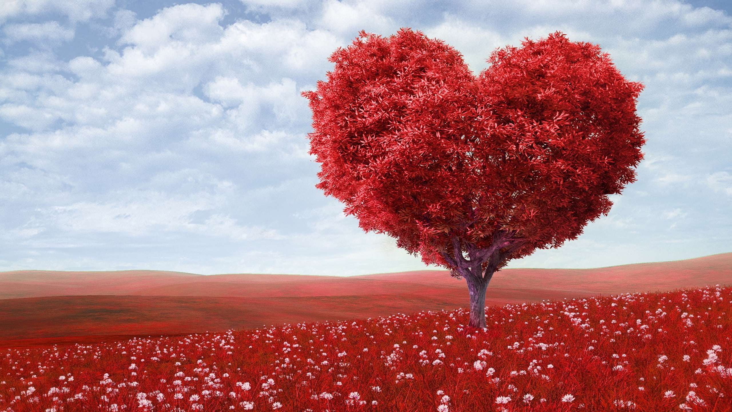 Summer heart tree