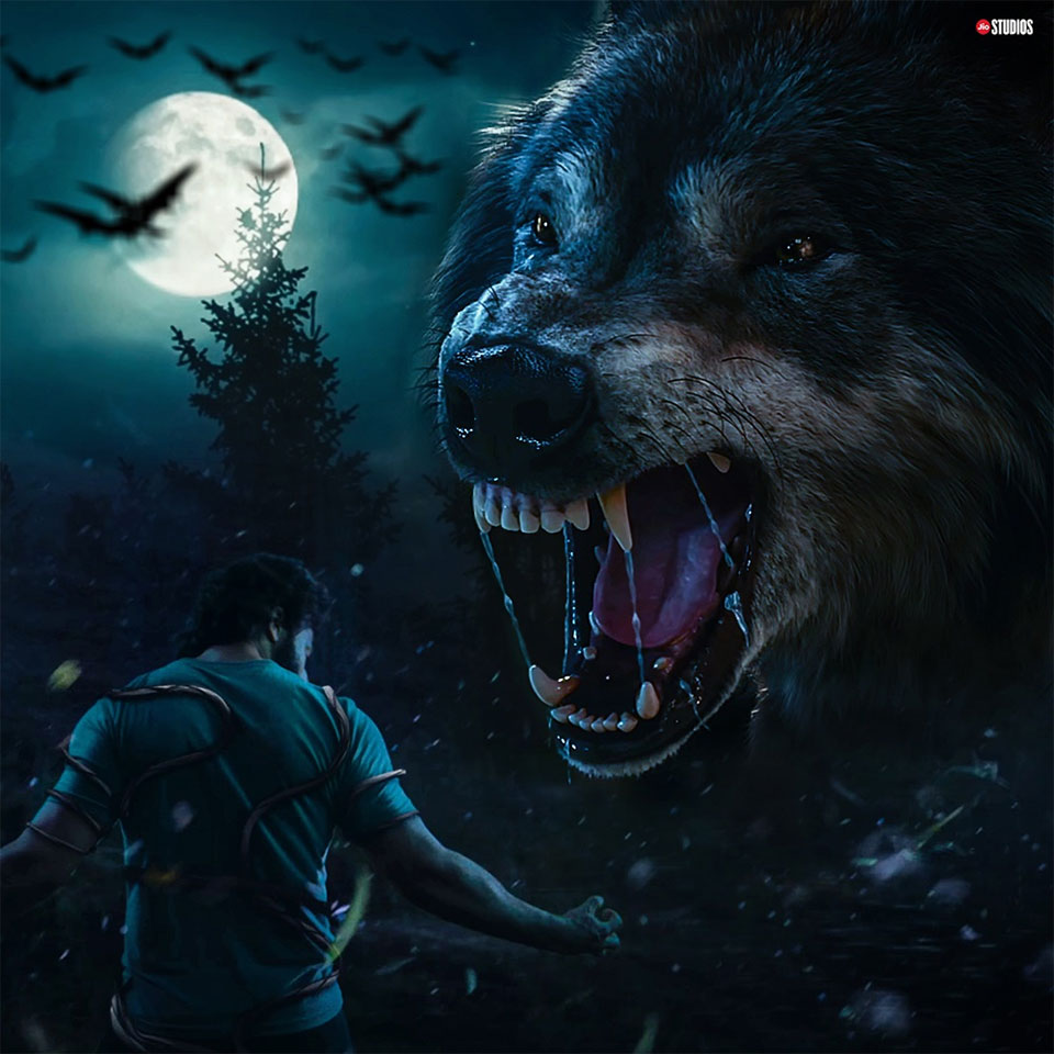 Newsletter: We're The Wolves, Bhediya & Other Werewolf Stories Say