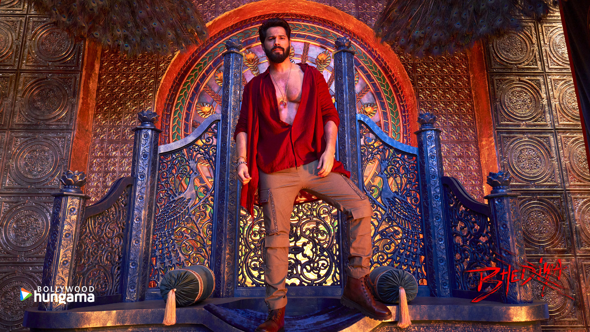 Bhediya Movie Wallpapers Wallpaper Cave