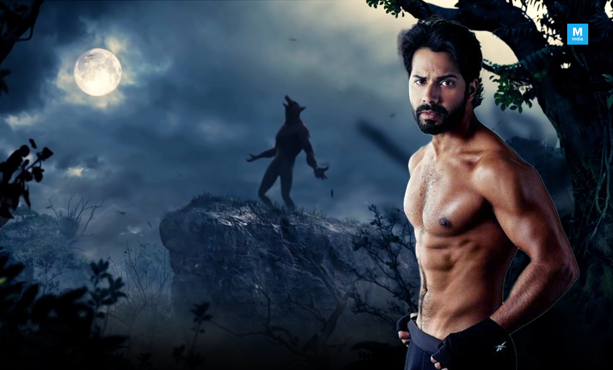 Bhediya Movie Wallpapers Wallpaper Cave