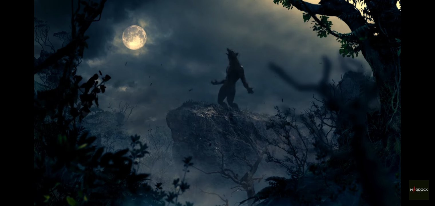 Bhediya Fan Photo. Bhediya Photo, Image, Picture # 73227