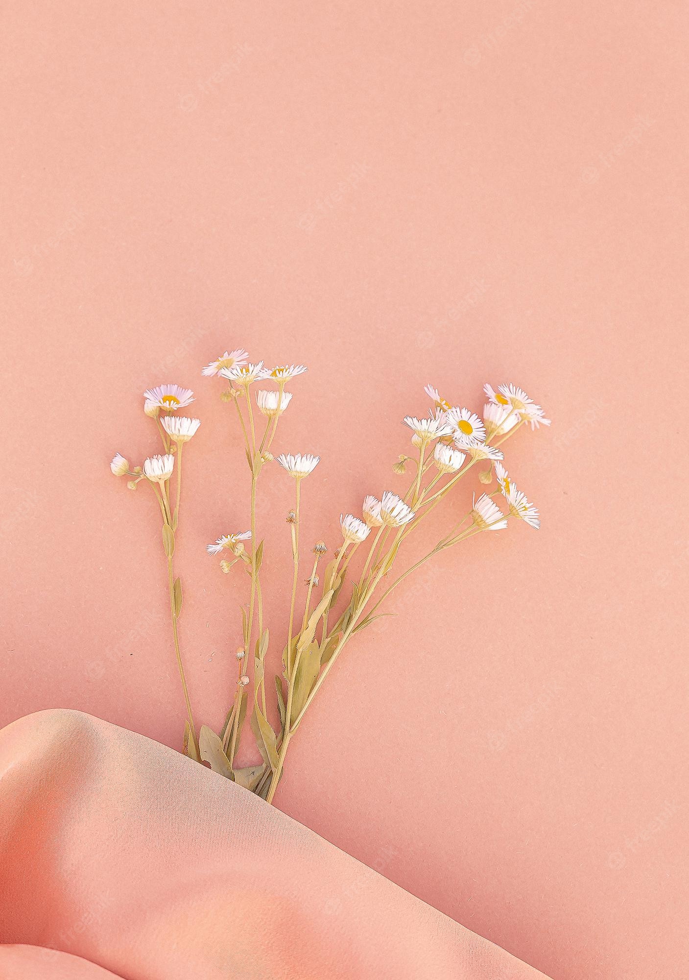 Premium Photo. Chamomile on pink fabric background. aesthetic minimal wallpaper. stylish summer plant composition