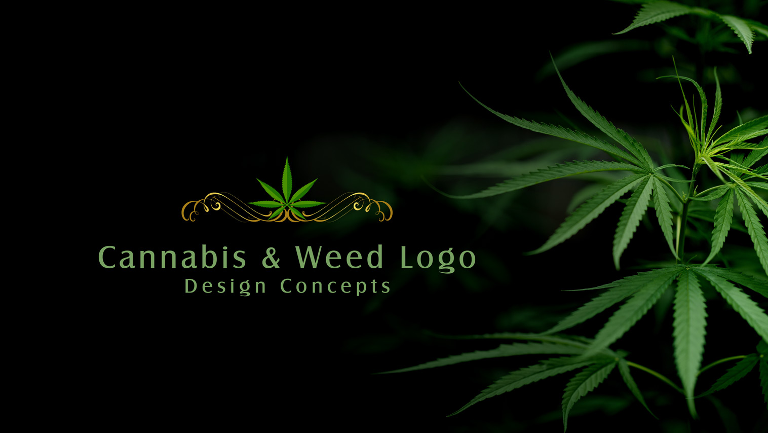 Awesome Medical Cannabis And Weed Logo Design Concepts