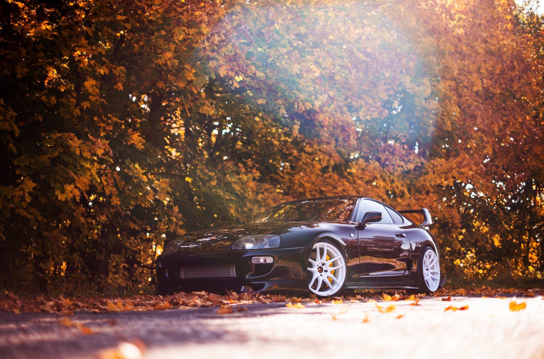 colored wheels, car, Toyota, fall, worms eye view, Toyota Supra Gallery HD Wallpaper