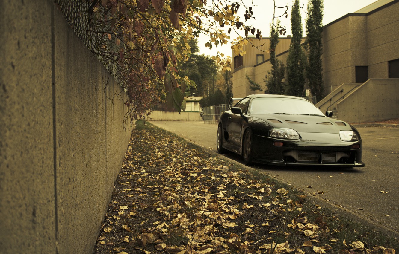 Wallpaper autumn, grass, leaves, city, the city, lawn, Toyota, cars, auto, Toyota Supra, wallpaper auto, Wallpaper HD, wall image for desktop, section toyota