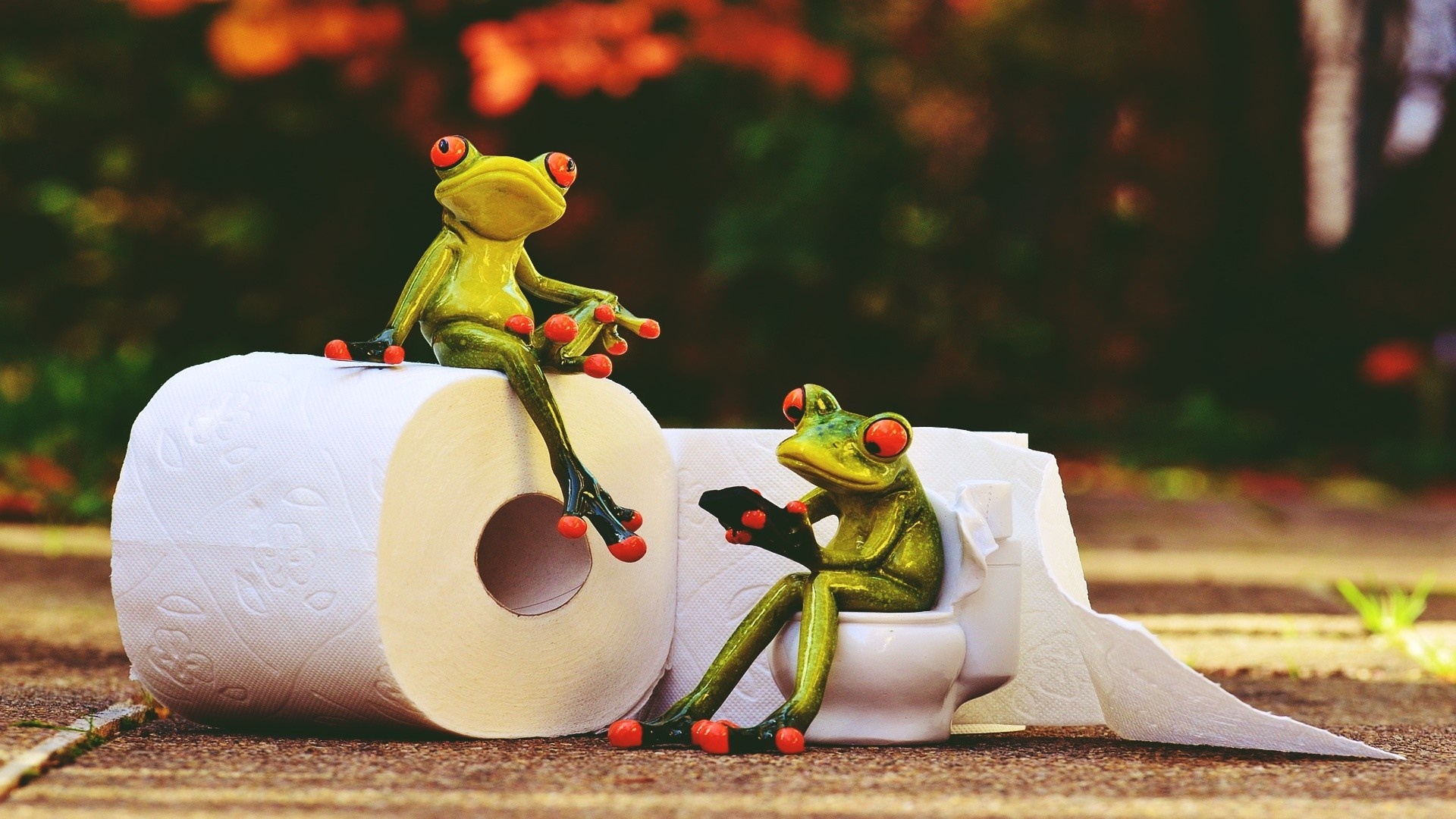 animals, red, green, yellow, frog, Retro style, vintage, spring, toilet paper, color, autumn, flower, season Gallery HD Wallpaper