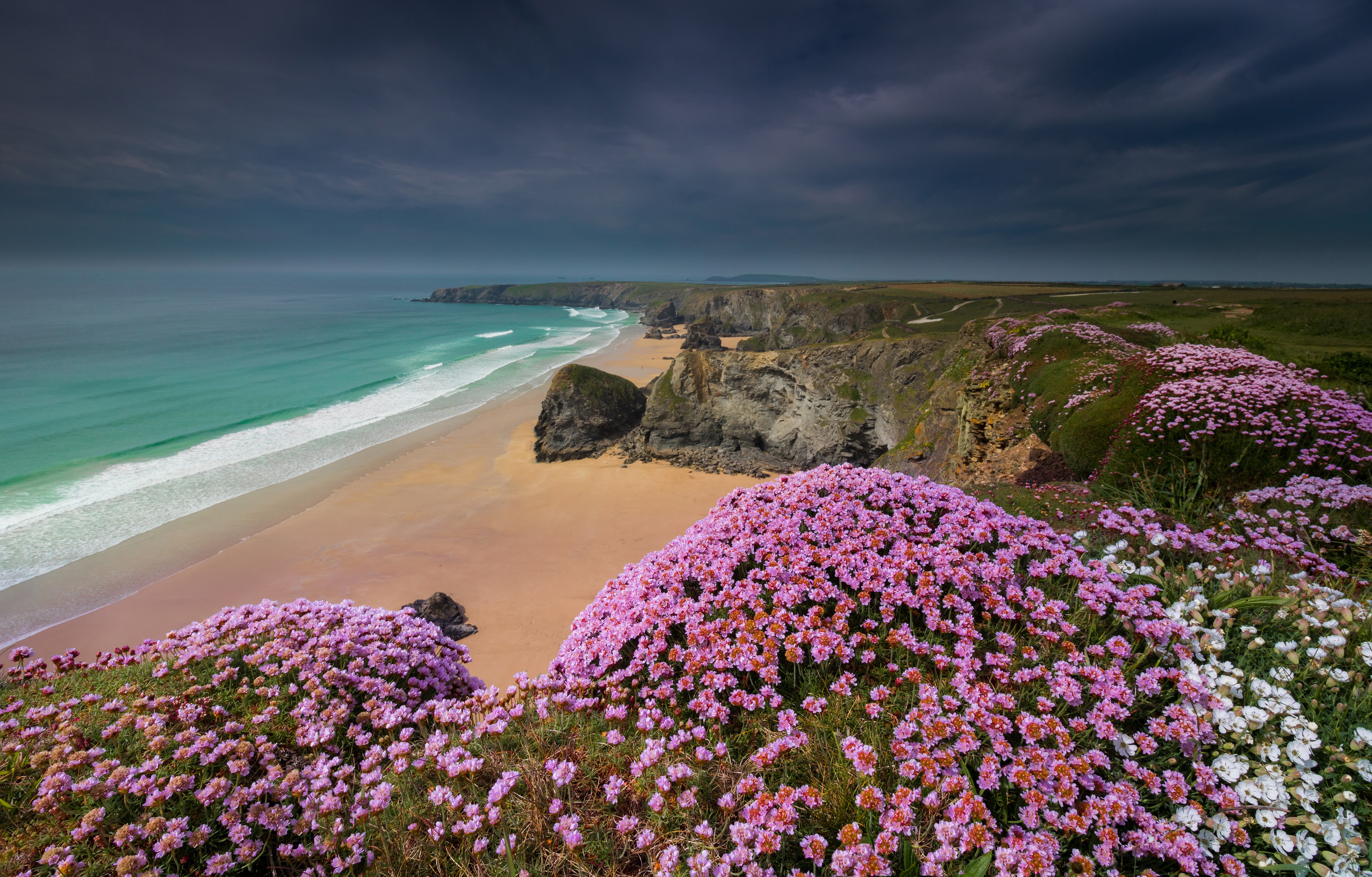 HD desktop wallpaper: Nature, Beach, Horizon, Flower, Coast, Ocean, Earth, England, Cornwall download free picture