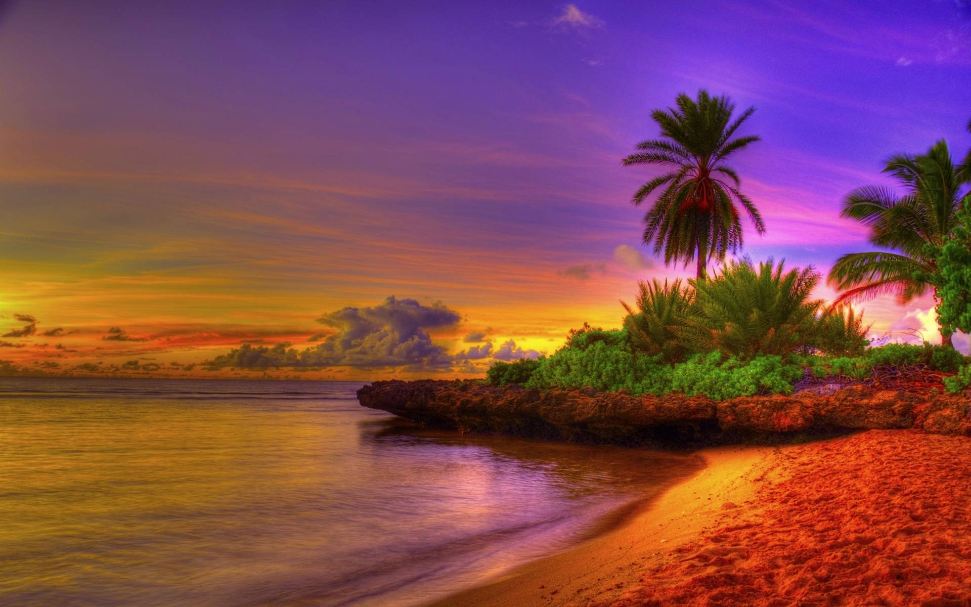 Beach Sun Nature HD Wallpaper-[1920×1200]
