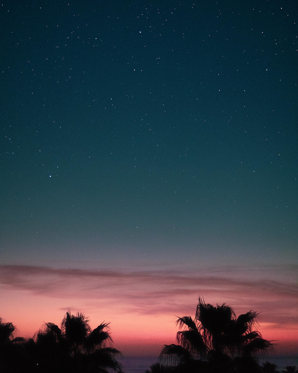 Summer Night Vibe Wallpapers - Wallpaper Cave