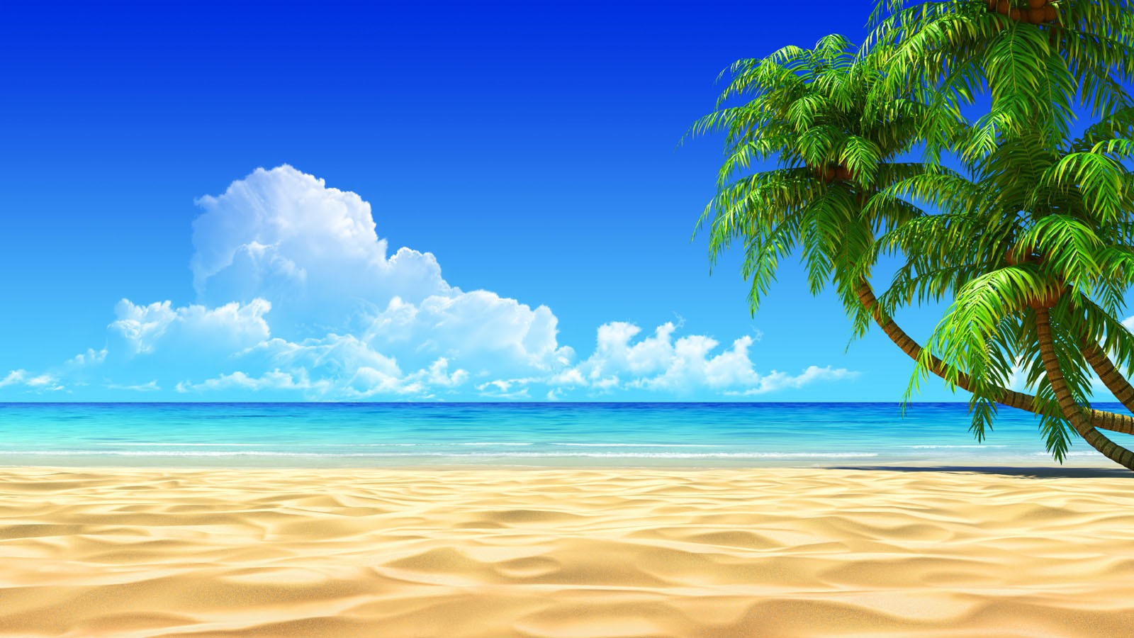 Wallpaper, sea, nature, shore, sand, sky, clouds, beach, calm, coast, palm trees, horizon, island, summer, Caribbean, vacation, cloud, ocean, wave, tropics, daytime, 1600x900 px, computer wallpaper, body of water, arecales, azure
