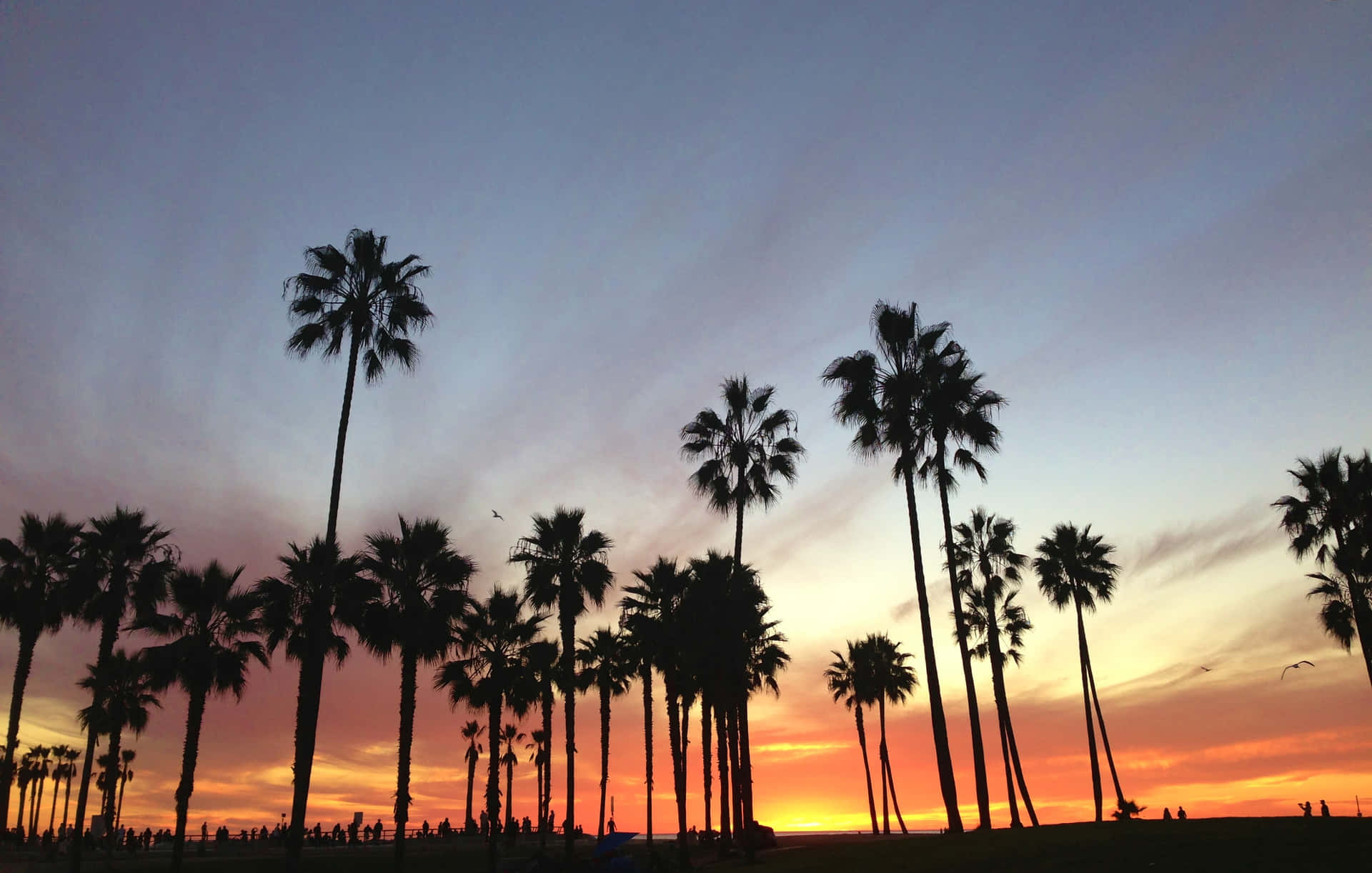 Free California Summer Wallpaper Downloads, California Summer Wallpaper for FREE