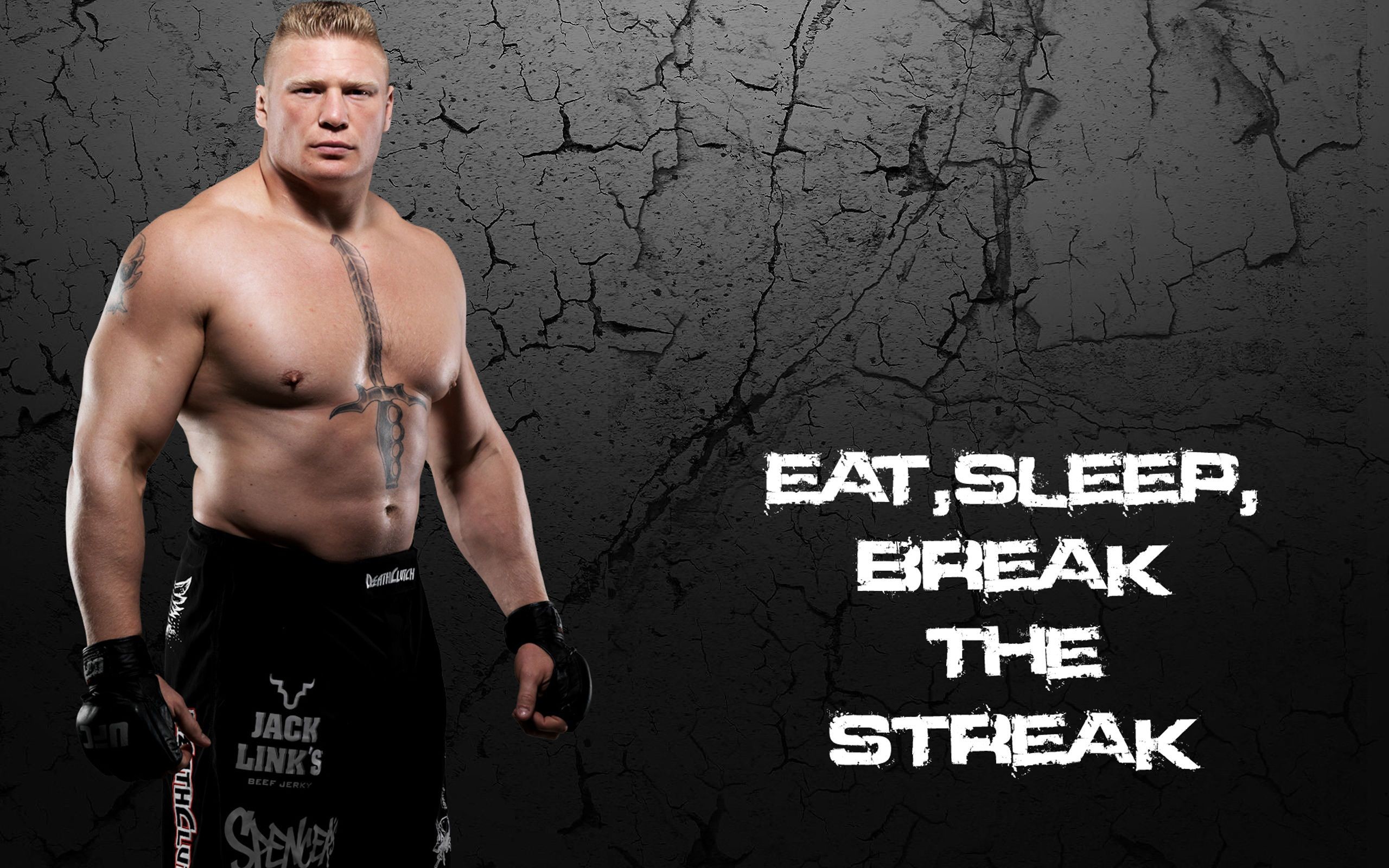 WWE Brock Lesnar 2018 HD Wallpaper