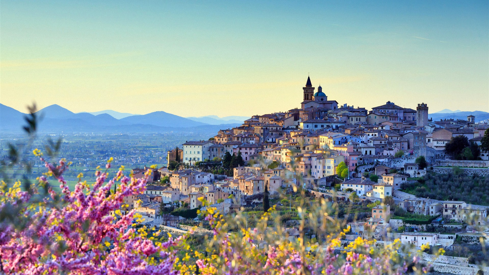 Almond Perugia district Umbria Italy 2021