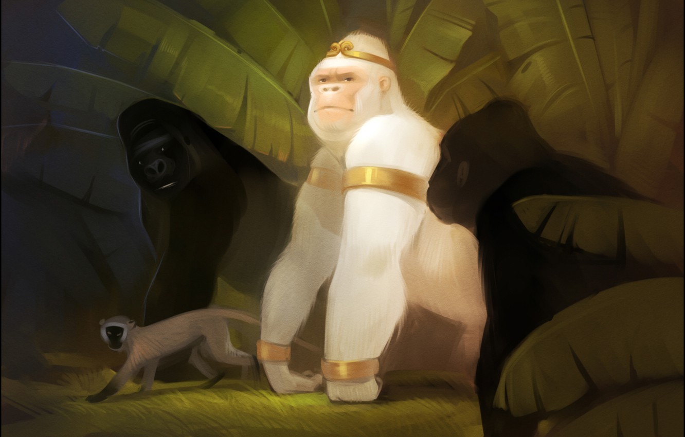 Wallpaper forest, jungle, monkey, gorilla, art, albino, white king image for desktop, section фантастика