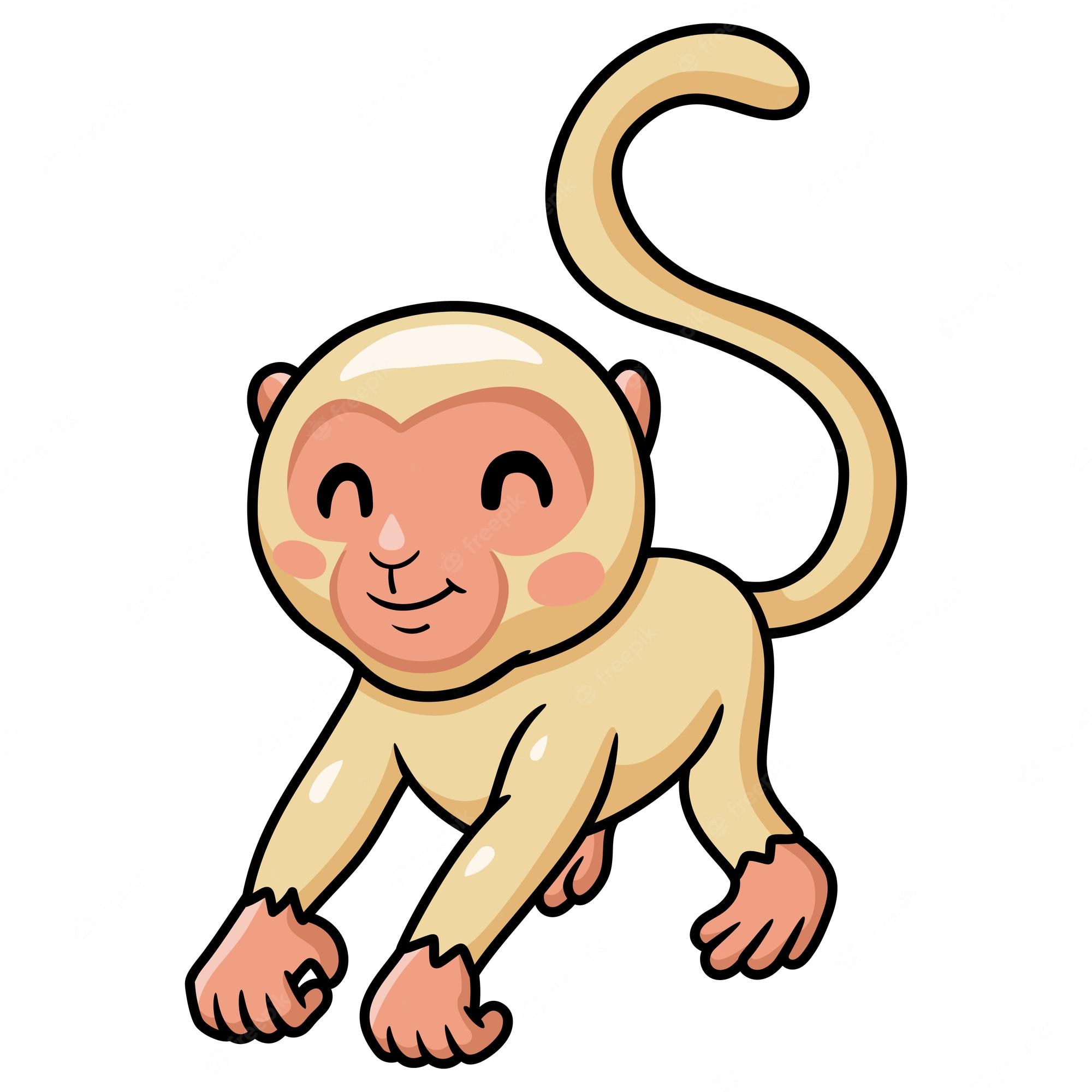 Kawaii monkey Image. Free Vectors, & PSD
