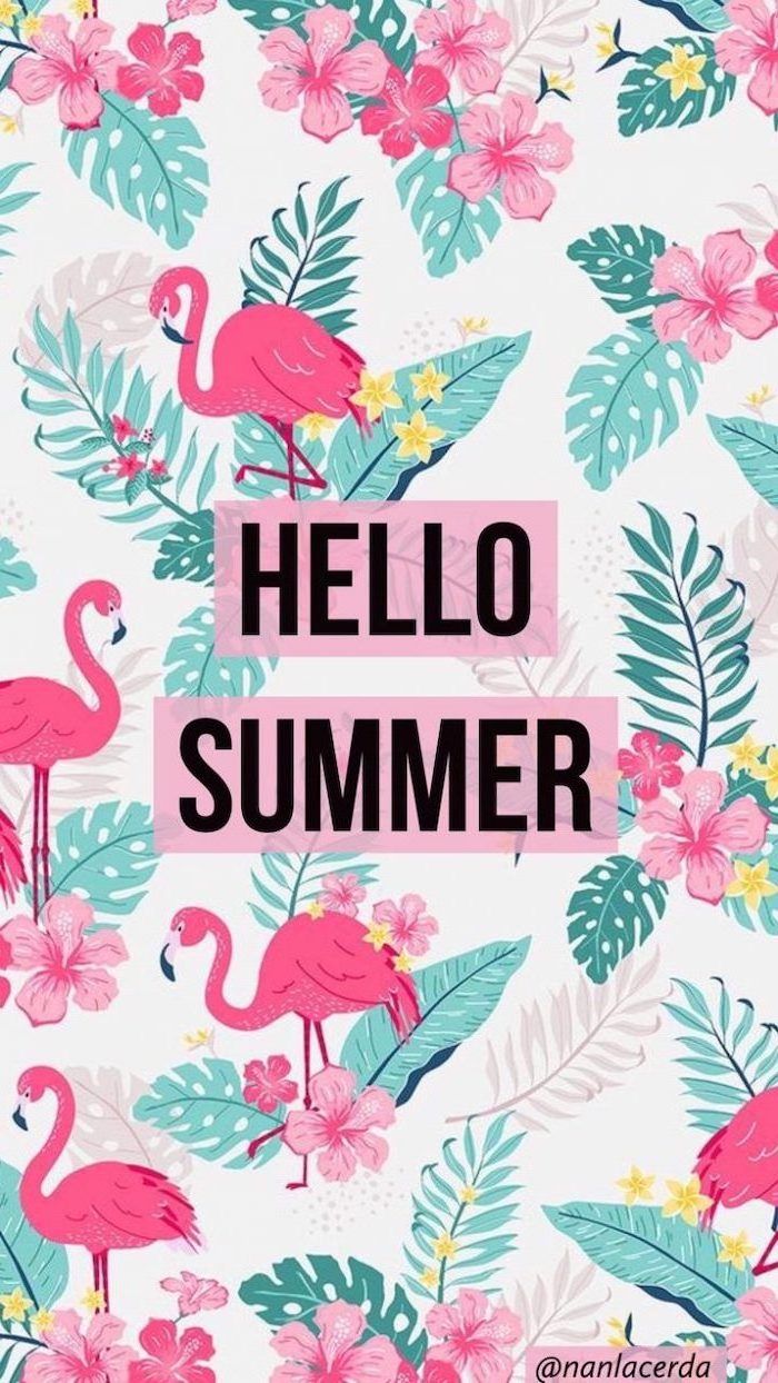 Hellow Summer Pink Flamingos Floral Cute Quote Wallpers Palm Leaves Drawing. Cute Summer Wallpaper, Wallpaper Iphone Cute, Summer Wallpaper