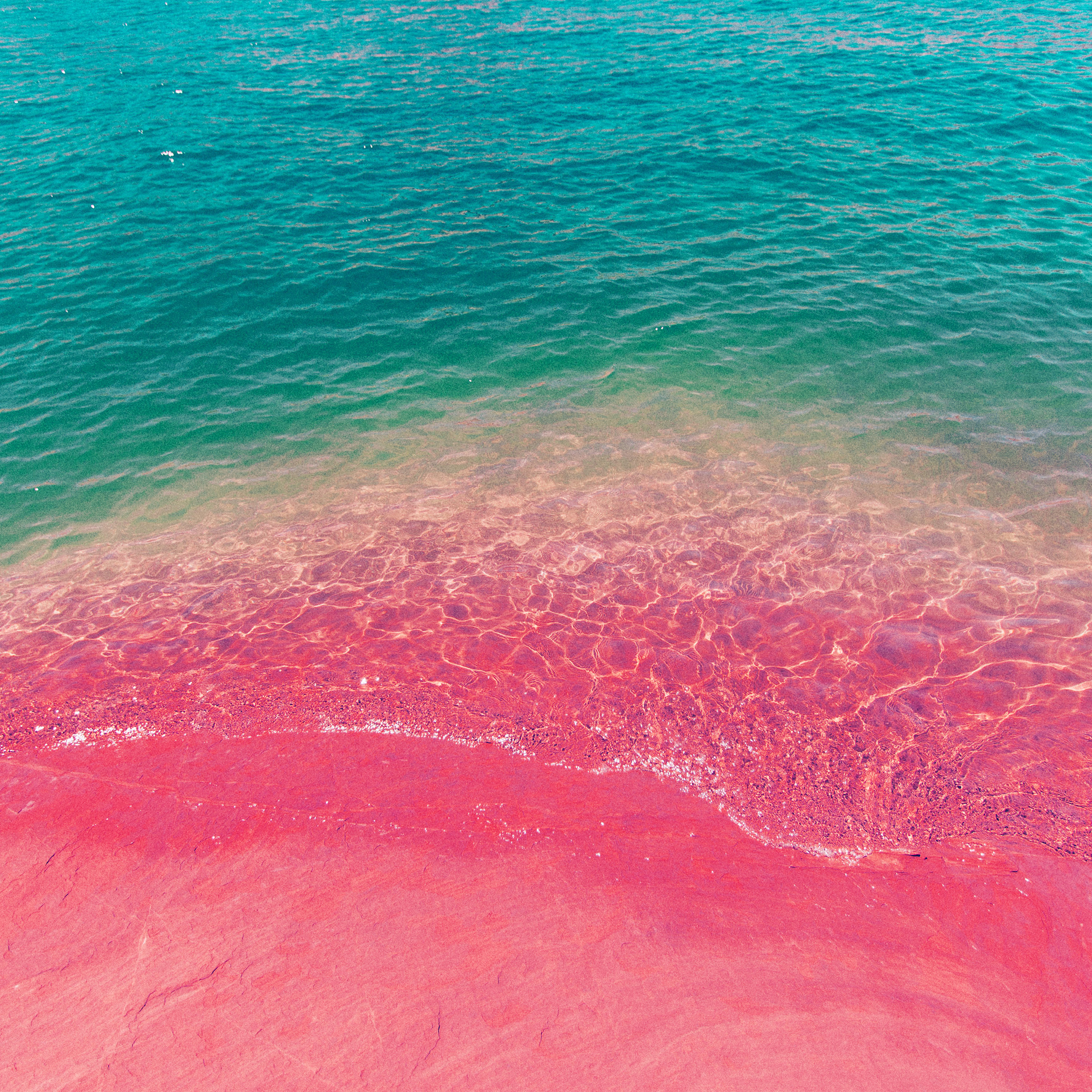 Android wallpaper. sea water beach summer nature pink