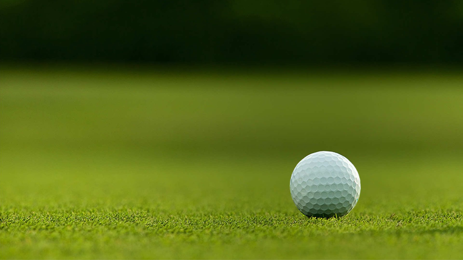 EA Sports is getting back into the swing, with PGA Tour