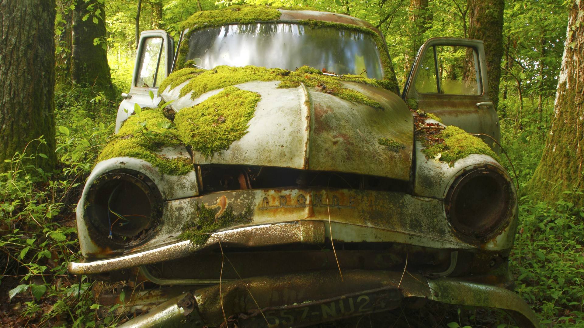 Moss covered car in Dordogne, France