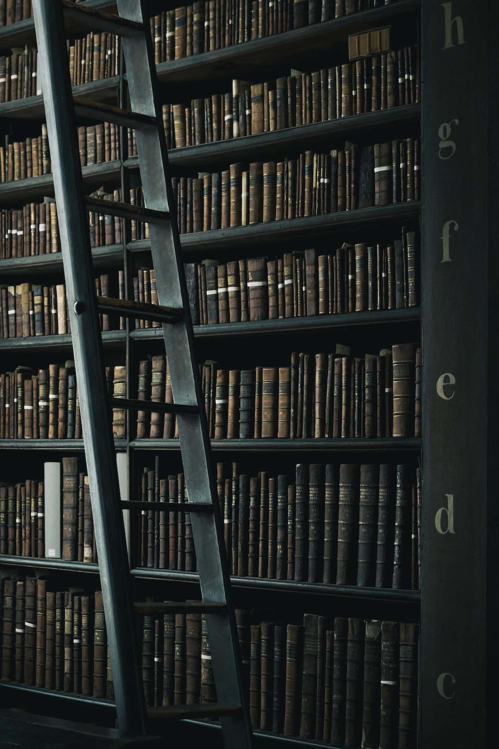 library shelf near black wooden ladder photo