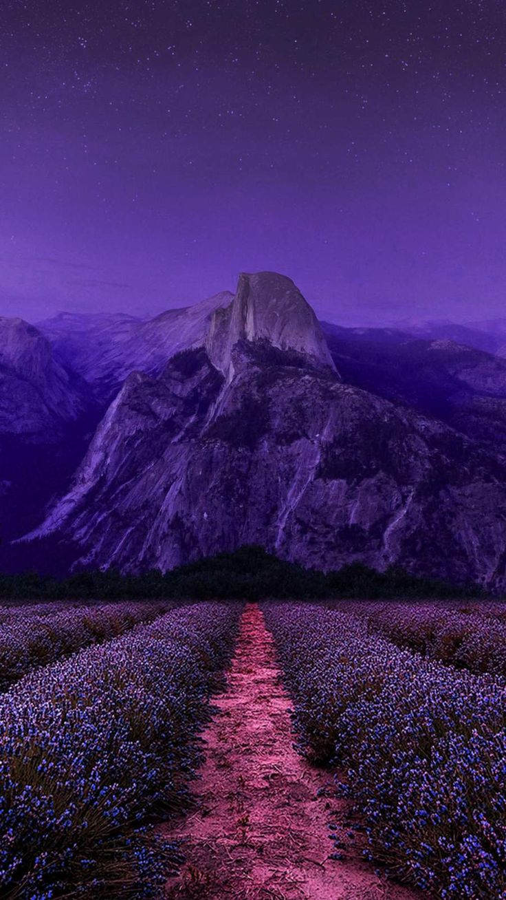 Purple Nature iPhone Wallpaper. Resmi, Duvar kağıtları, Duvar