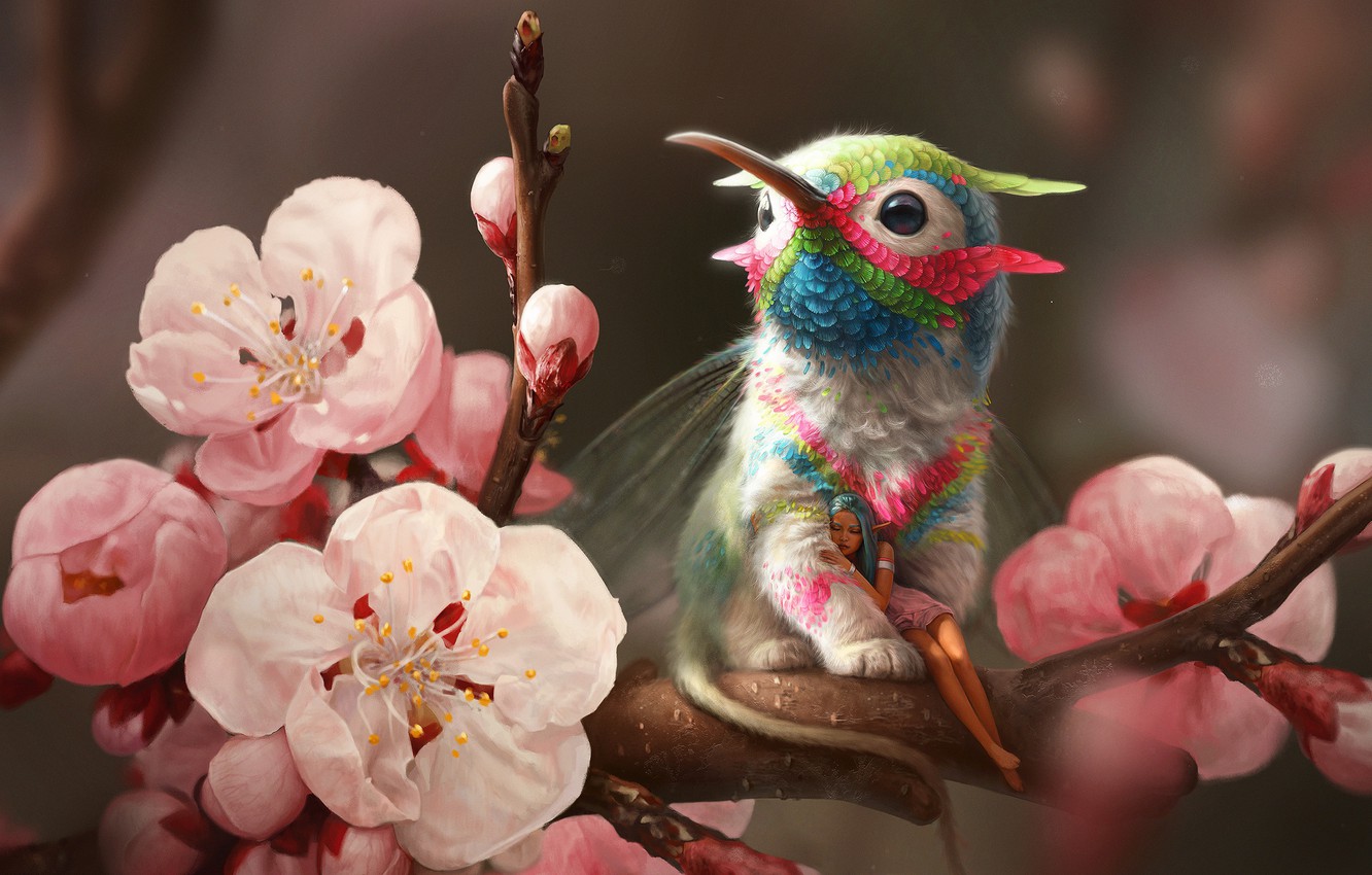 Wallpaper flowers, elf, branch, spring, Hummingbird, Griffin image for desktop, section разное