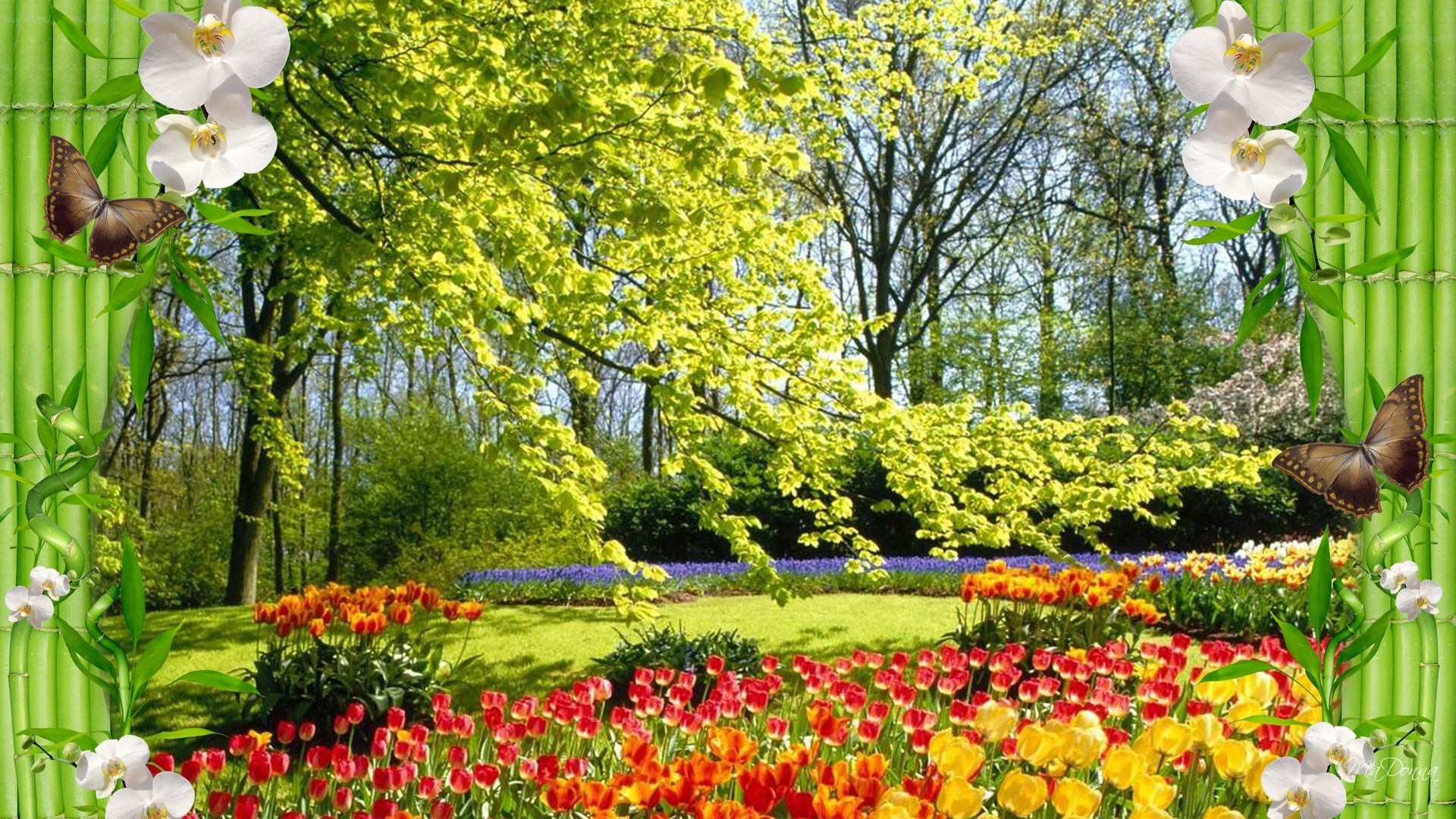 Bamboo Trees Paradise Spring Summer Floral Paaradise Flowers Park Wallpaper Windows 7 Flower