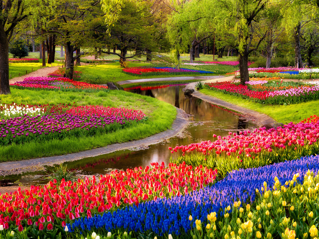 Download Spring, Trees, Multicolored, Flowers, A park Wallpaper in 1024x768 Resolution