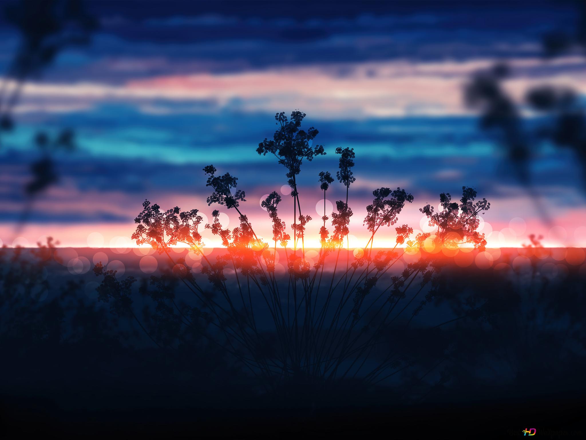 Sunrise scenery flower art 4K wallpaper download