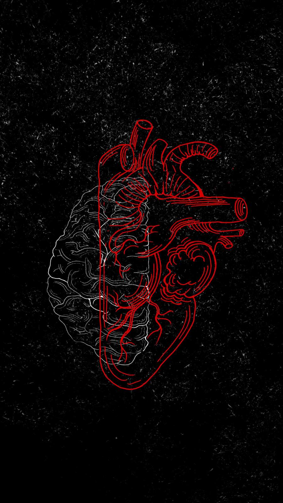 Brain Vs Heart Art Wallpaper, iPhone Wallpaper