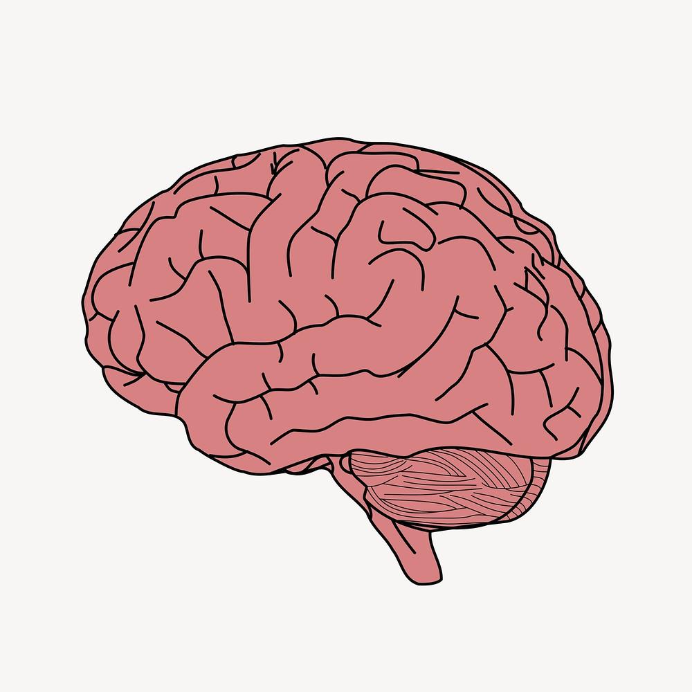 Brain Drawing Image Wallpaper