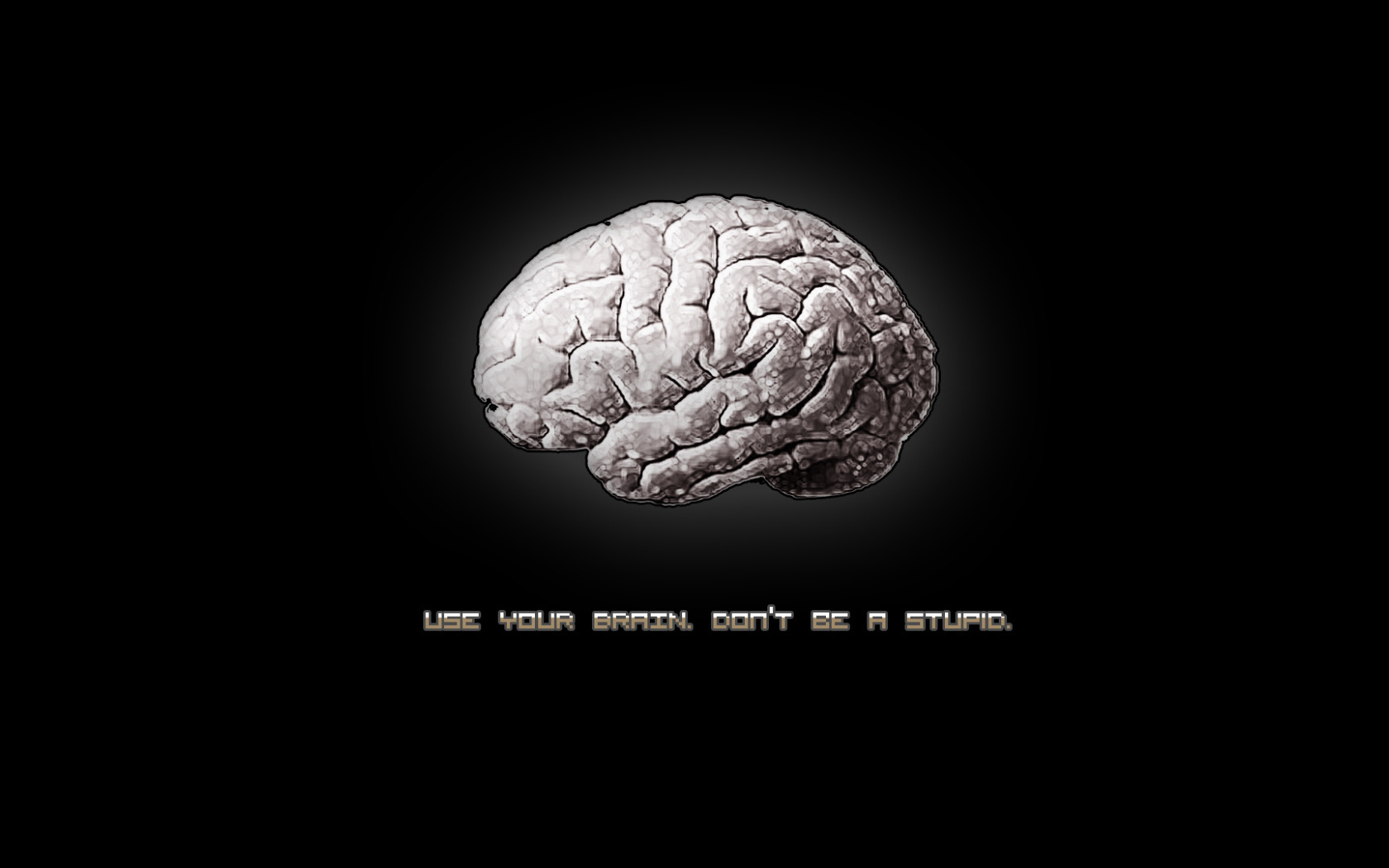 Use your brain Desktop wallpaper 1680x1050