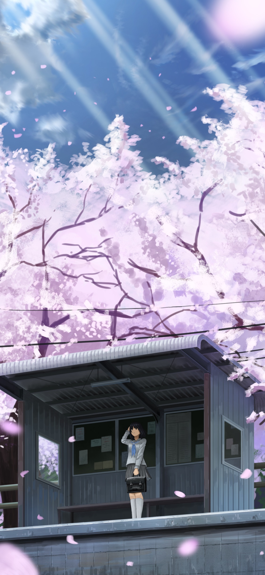 Wallpaper / Anime Original Phone Wallpaper, Cherry Blossom, Telephone Pole, Short Hair, Black Hair, 1125x2436 free download