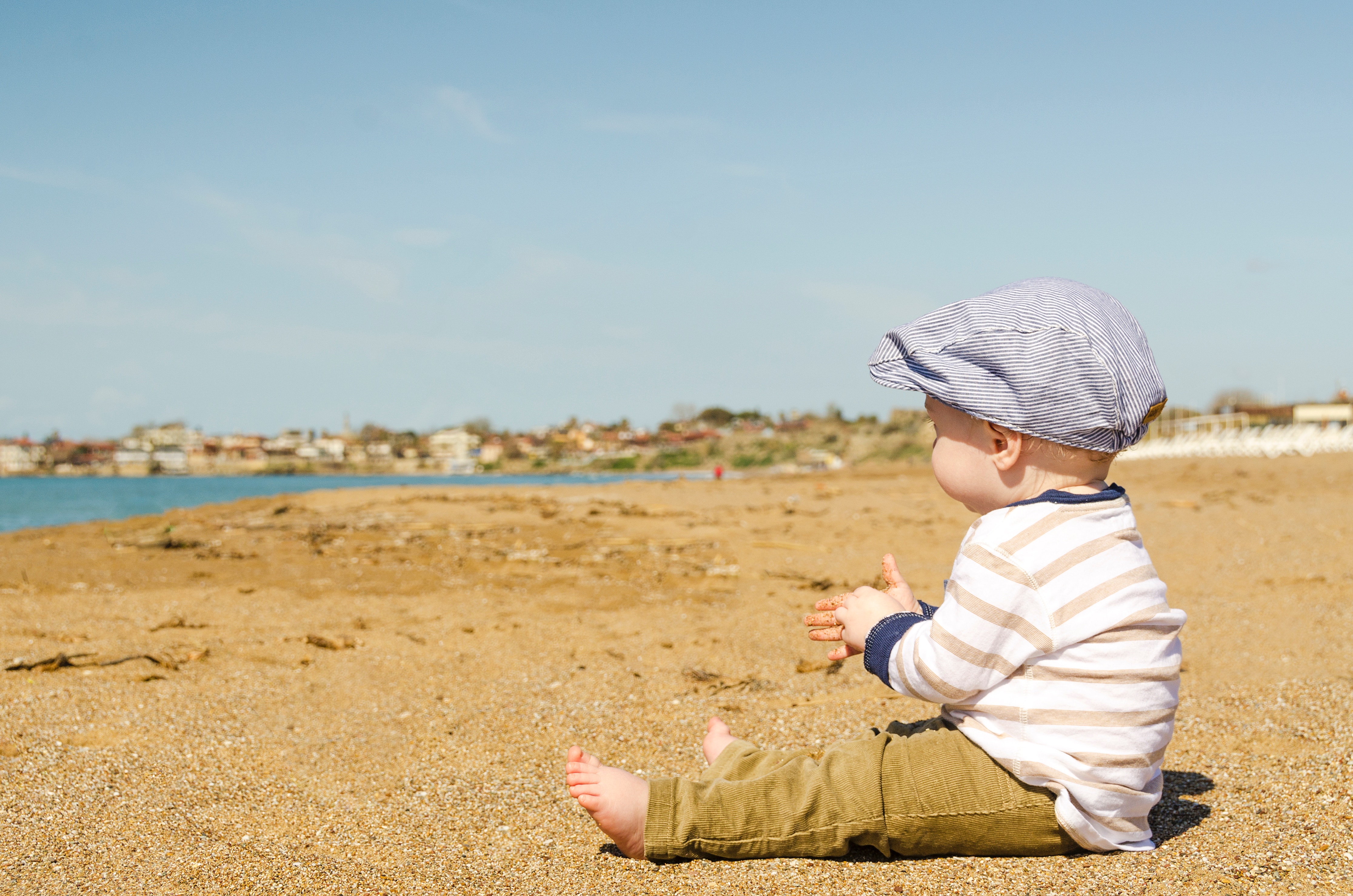 sea, bench, pet, man, seaside, shore