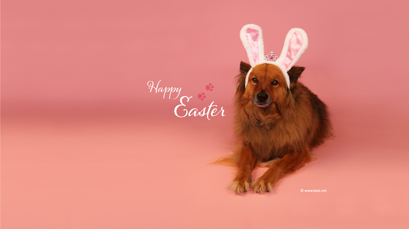 Free Easter Wallpaper, Desktop Background by Kate.net