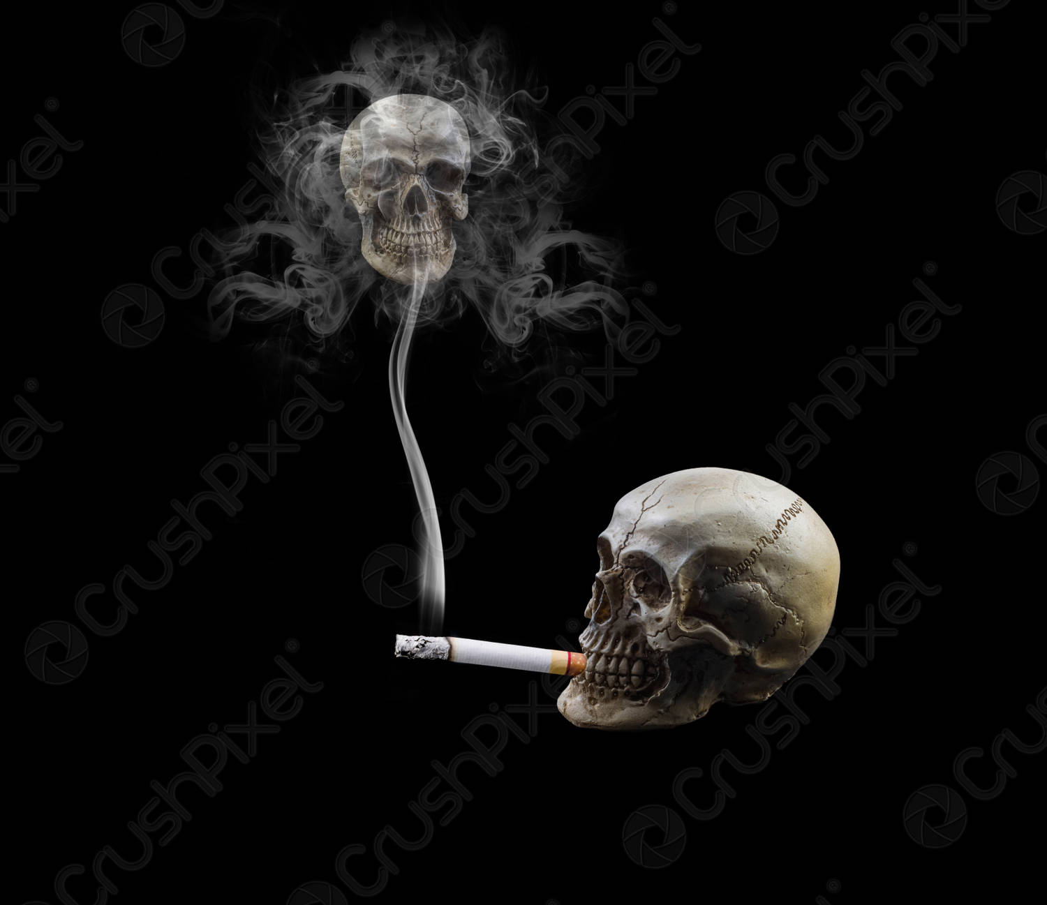 Human skull smoking a cigarette on black background