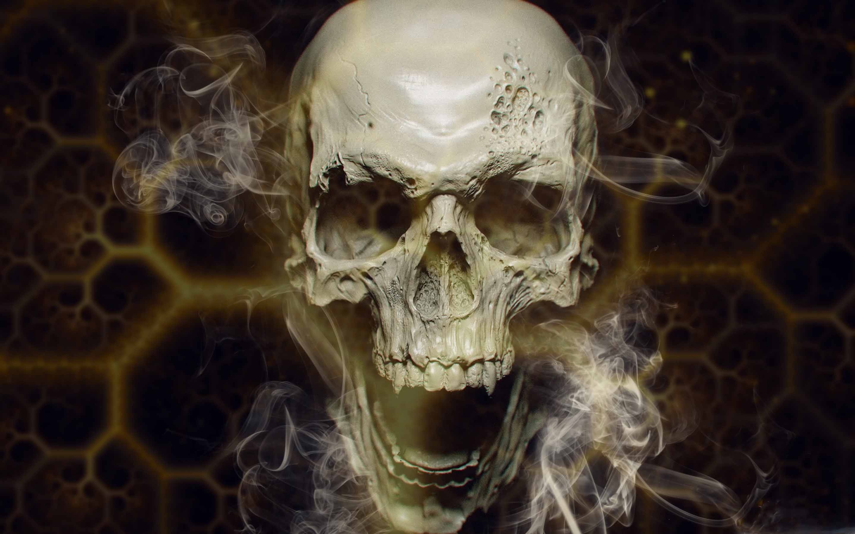 The Skull MacBook Air Wallpaper Download