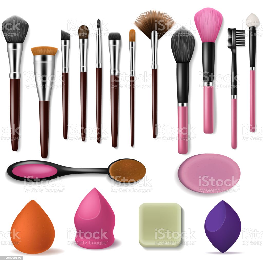 Makeup Brush Vector Professional Beauty Applicator Accessory And Stock Illustration Image Now