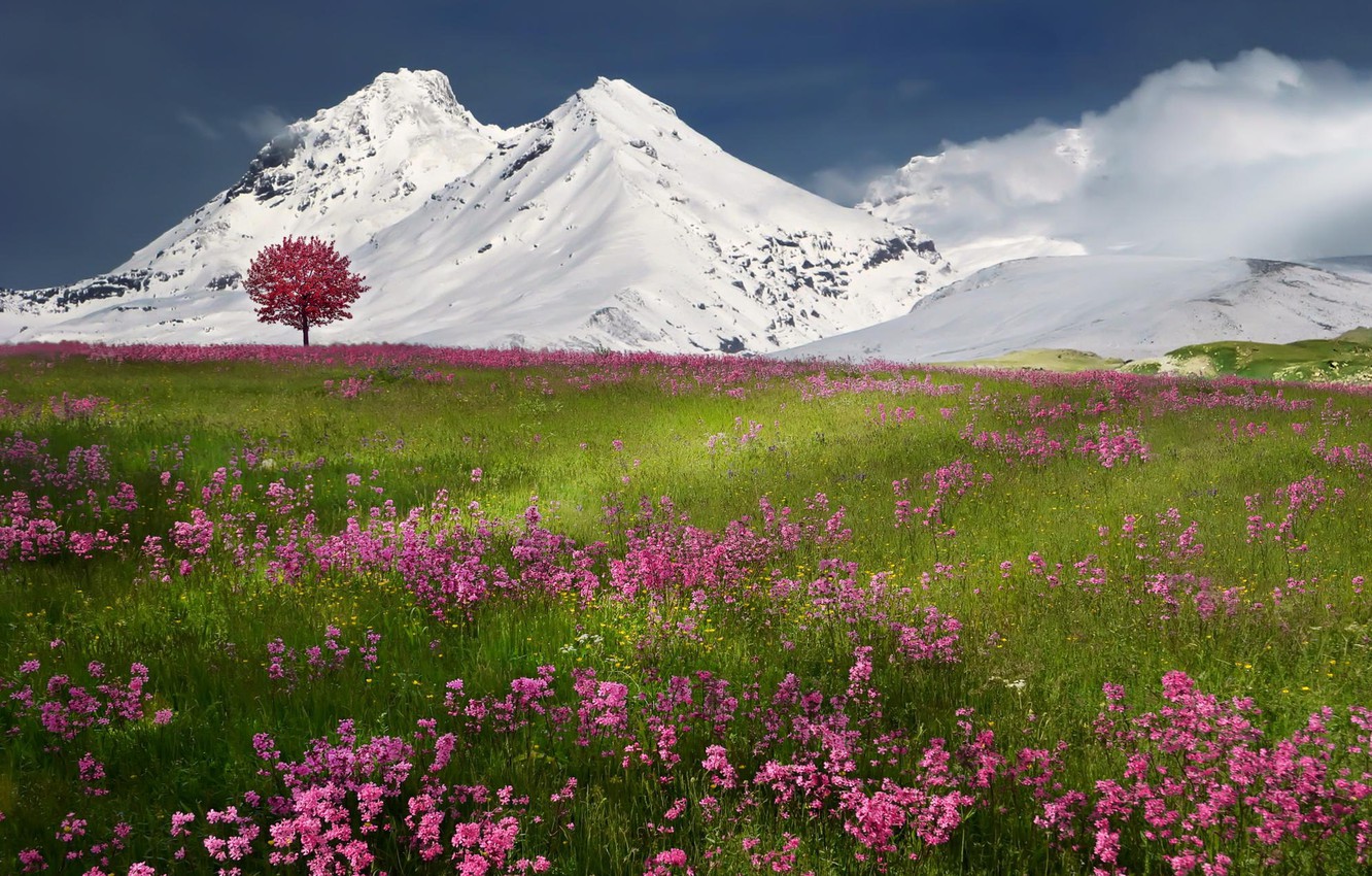 Wallpaper winter, snow, mountains, nature, spring image for desktop, section природа