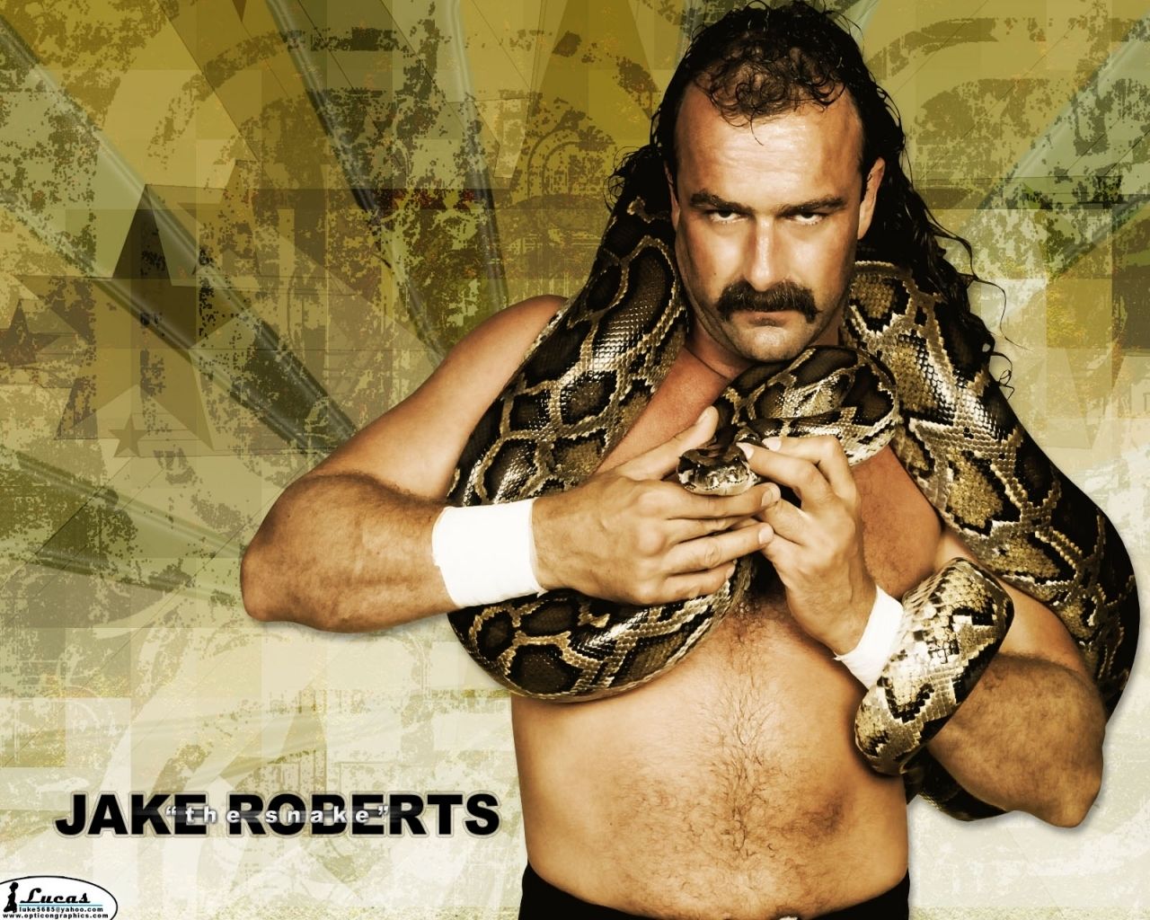 Jake the Snake. Jake the snake roberts, Professional wrestling, Wrestling